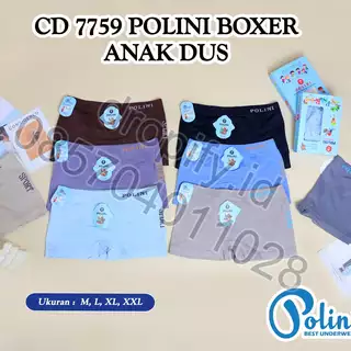 CD 7759 POLINI BOXER