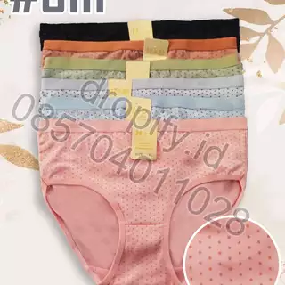 CD 3111