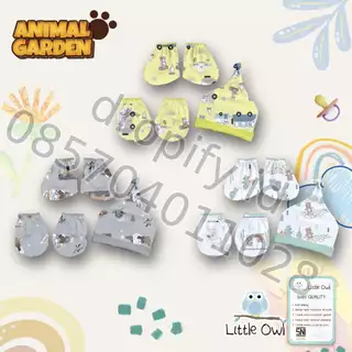 Little Owl Animal Garden Series