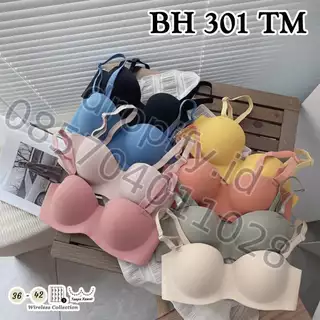 BH 301 TM