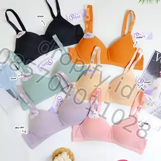 BH 301 POLINI K3