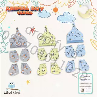 Little Owl Animal Boy Series