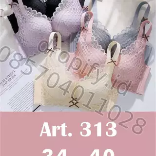 BH 313