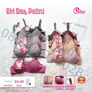 BH BO4, POLINI