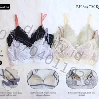 BH 827 TM K3