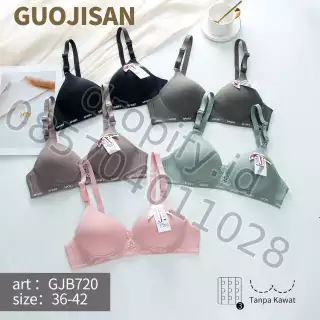 GUOJISAN GJB720