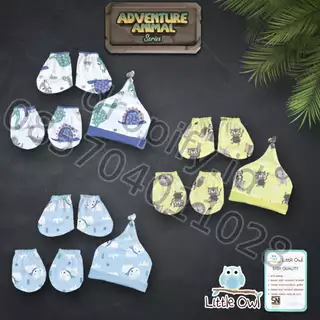 Little Owl Adventure Animal Series