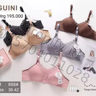 GUINI 866