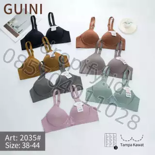 GUINI 2035