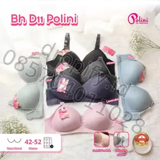 BH D11 POLINI