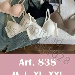BH 838