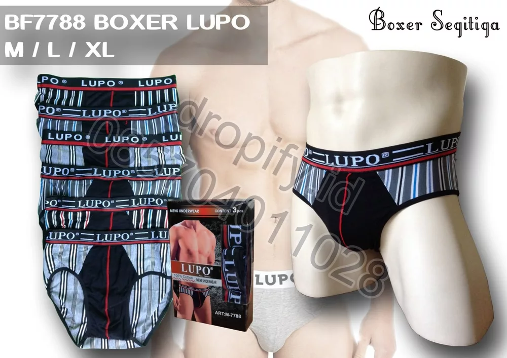 BF7788 BOXER LUPO