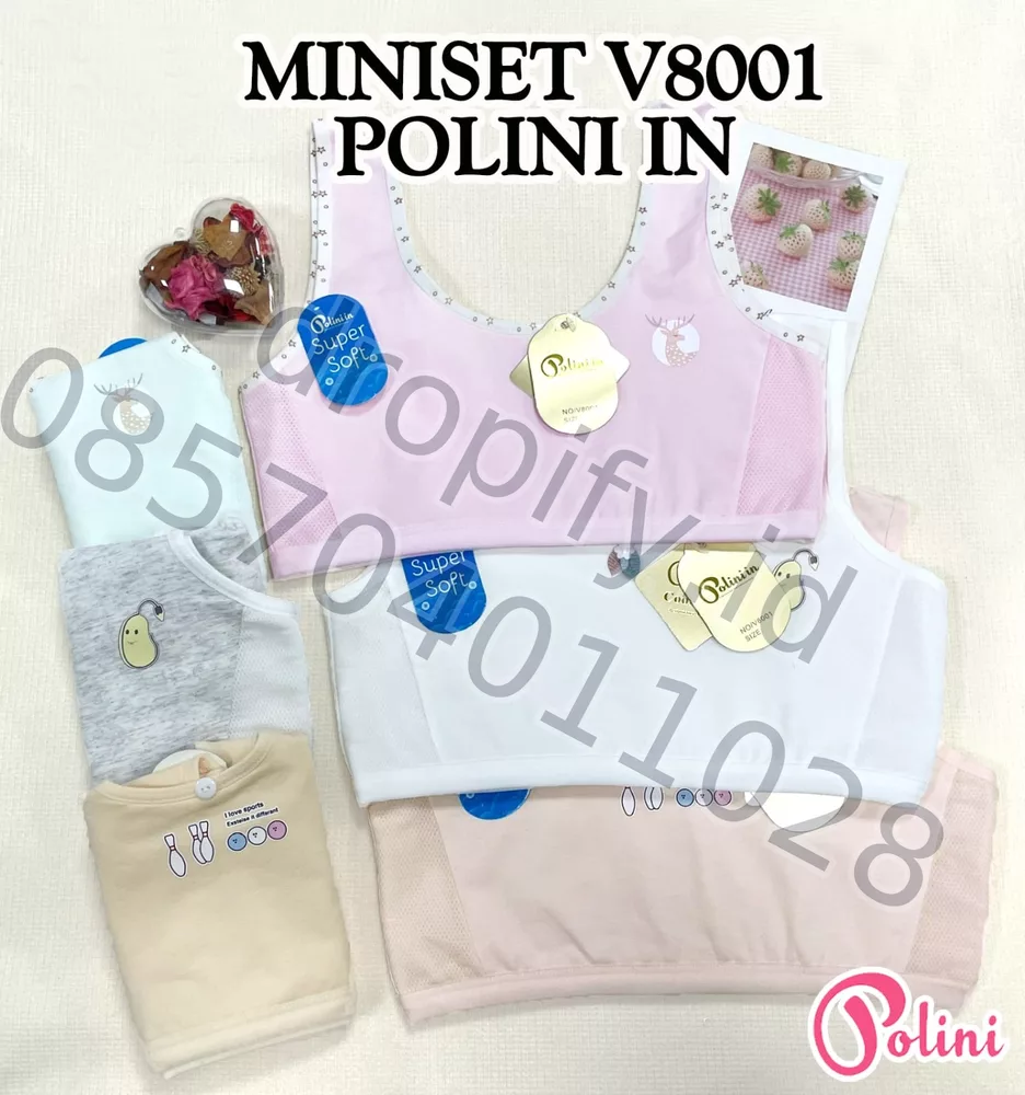 MINISET V8001