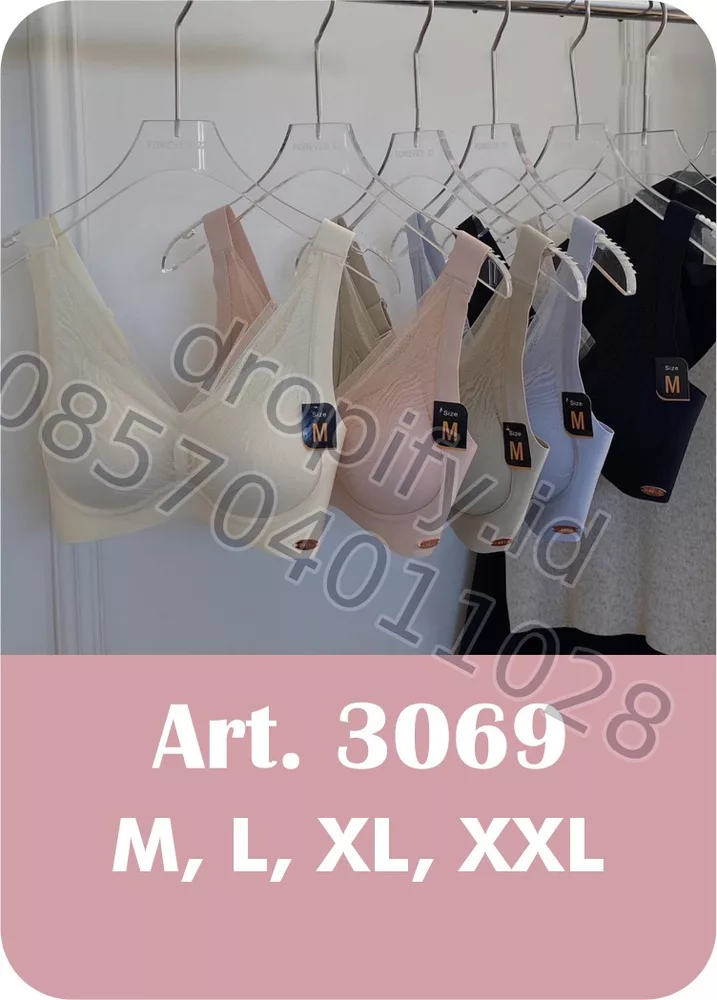 BH 3069