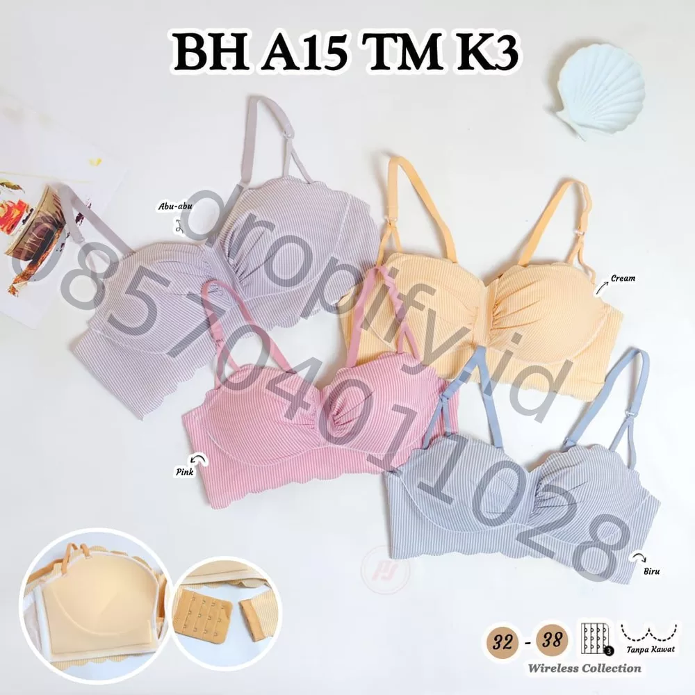 BH A15 TM K3