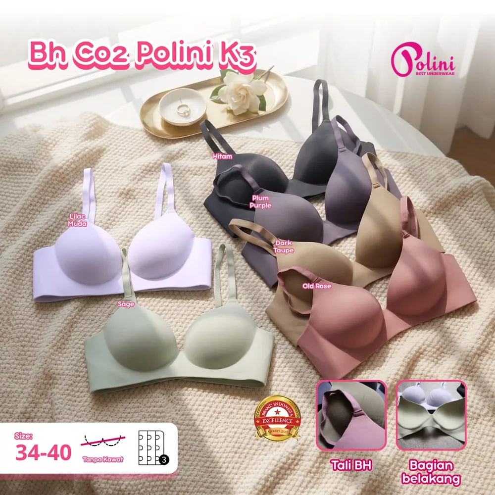 BH C02 POLINI K3