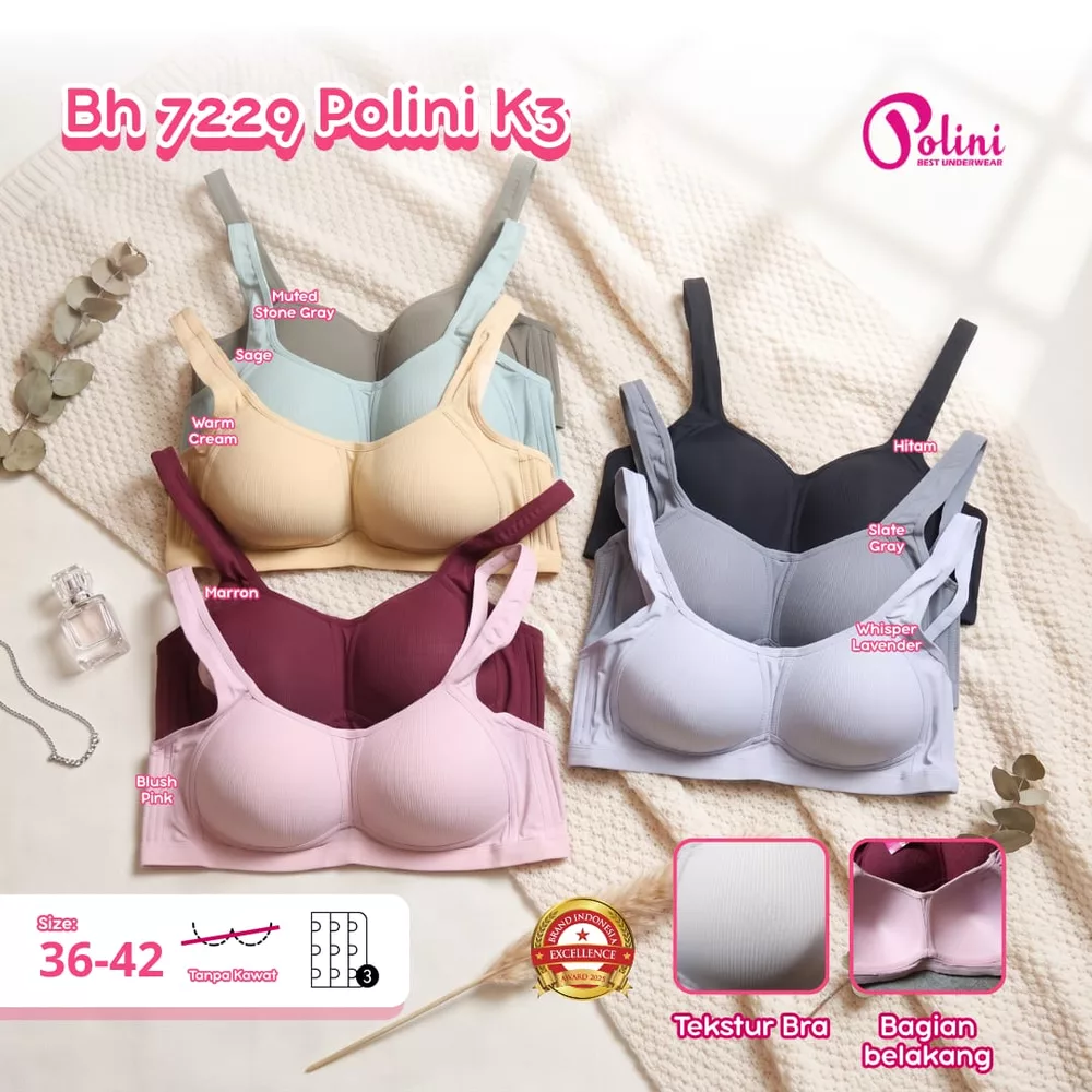 BH 7229 POLINI K3
