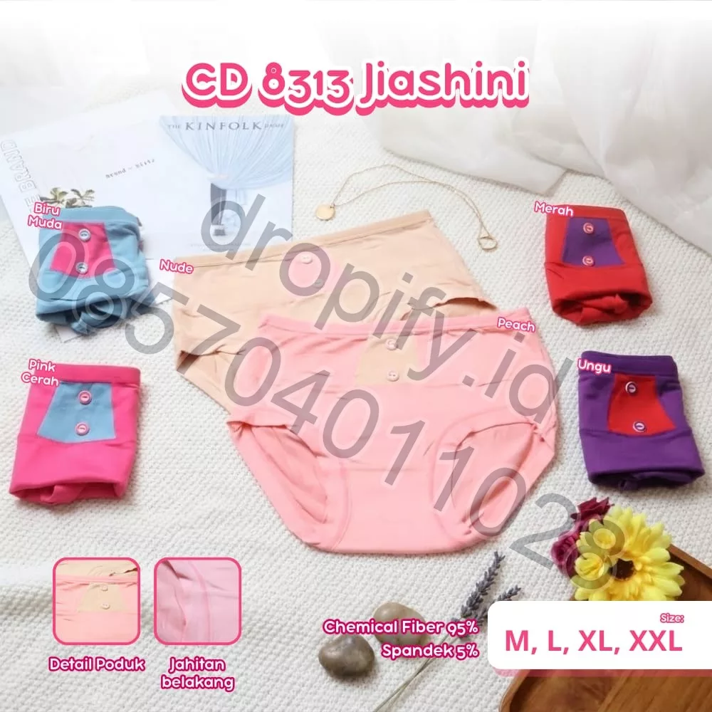 CD 3313 JIASHINI