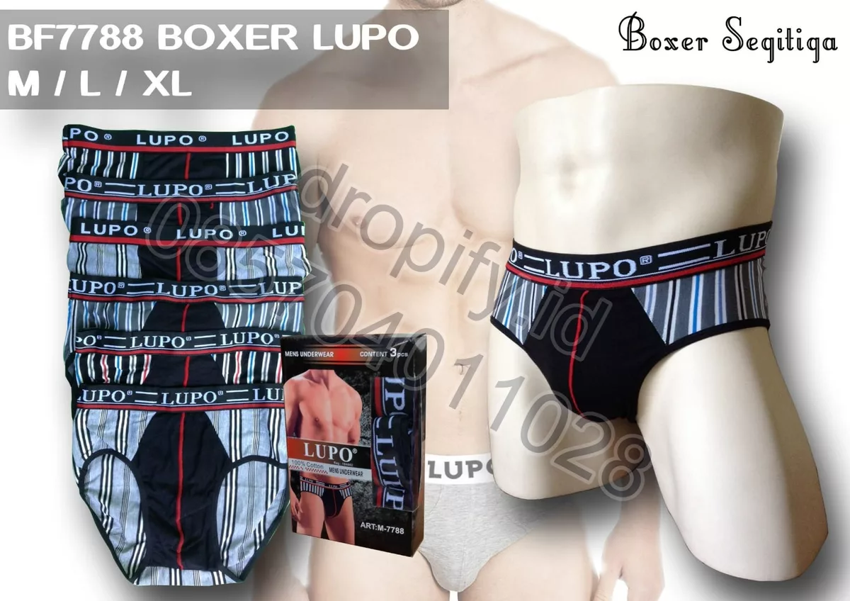 BF7788 BOXER LUPO
