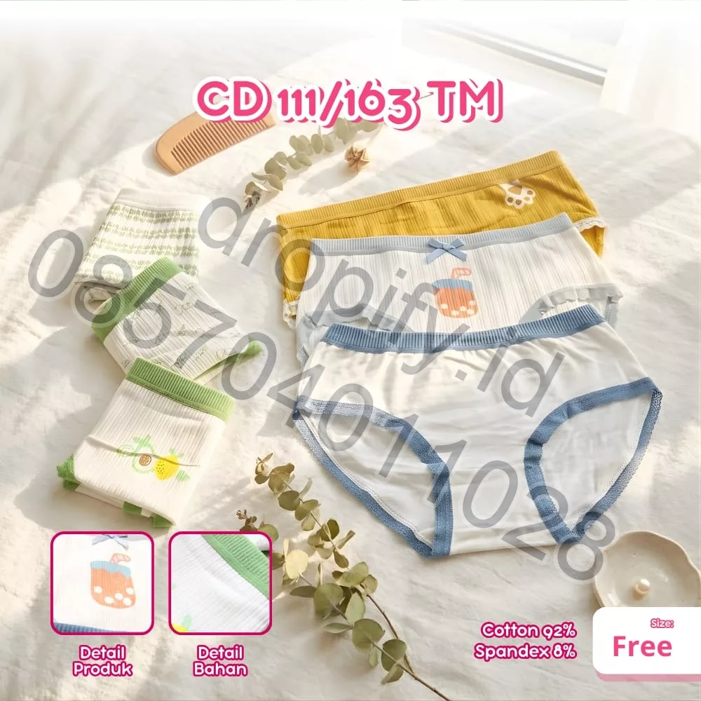 CD 111/163 TM