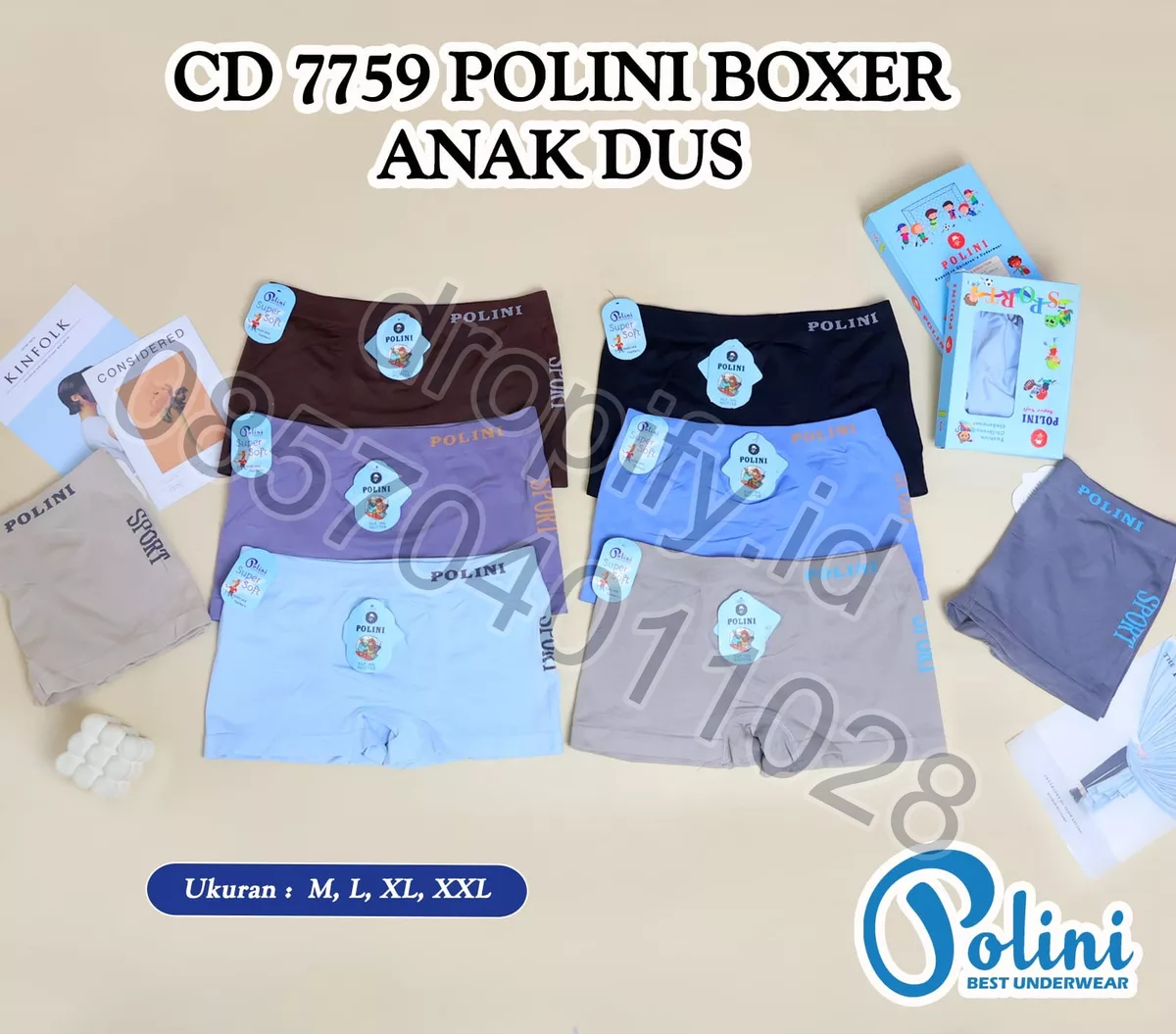 CD 7759 POLINI BOXER