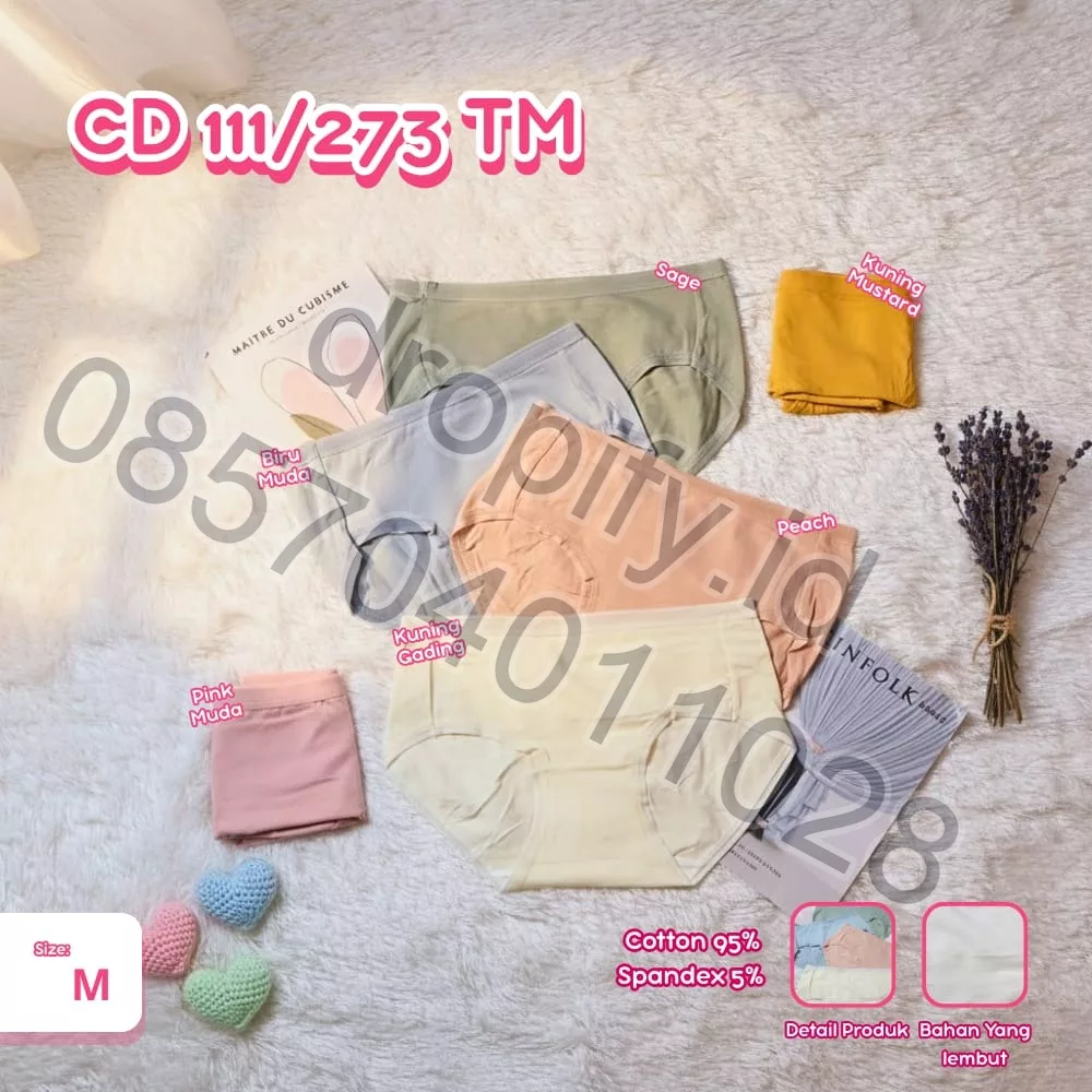 CD 111/273 TM