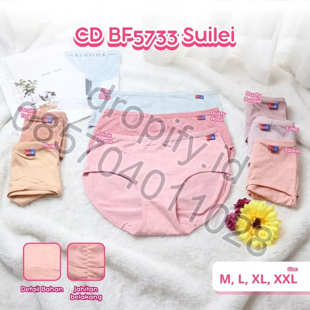 CD BF5733 SUILEI