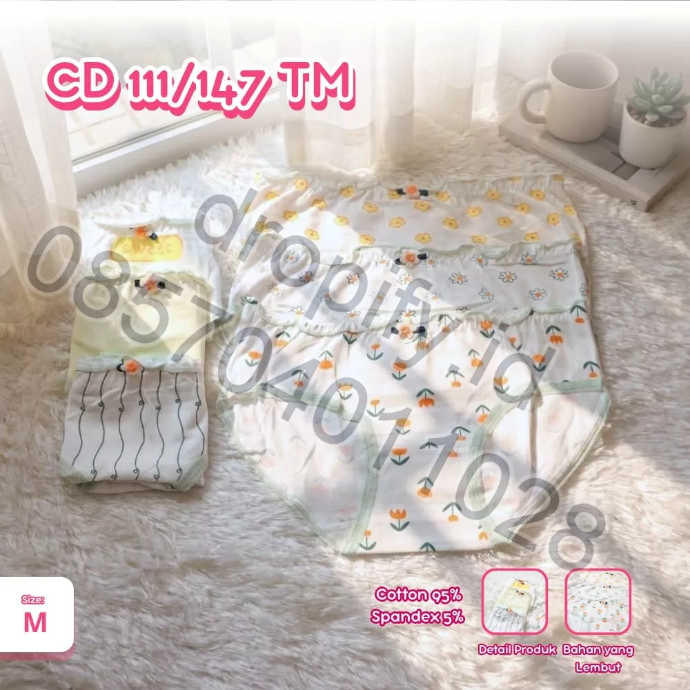CD 111/47 TM