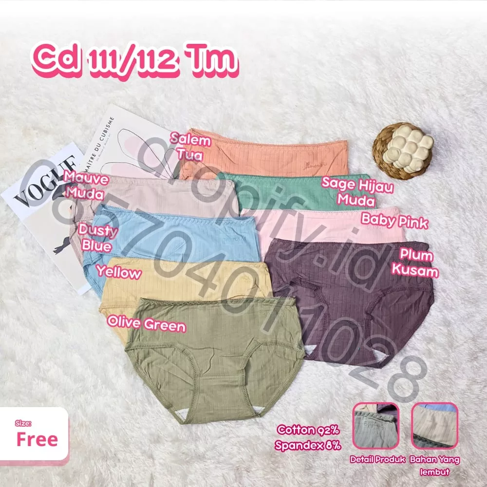 CD 111/113 TM