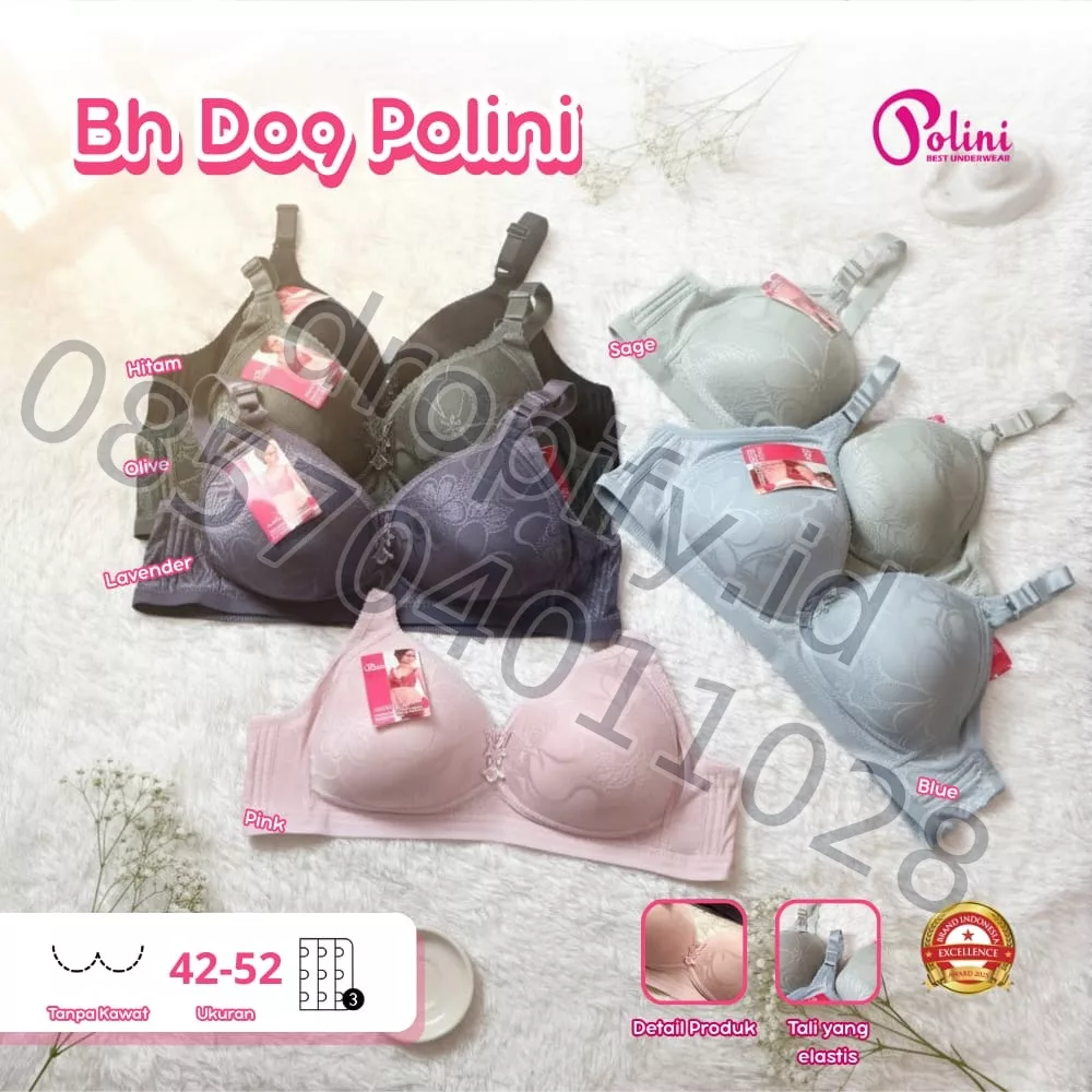 BH D09 POLINI
