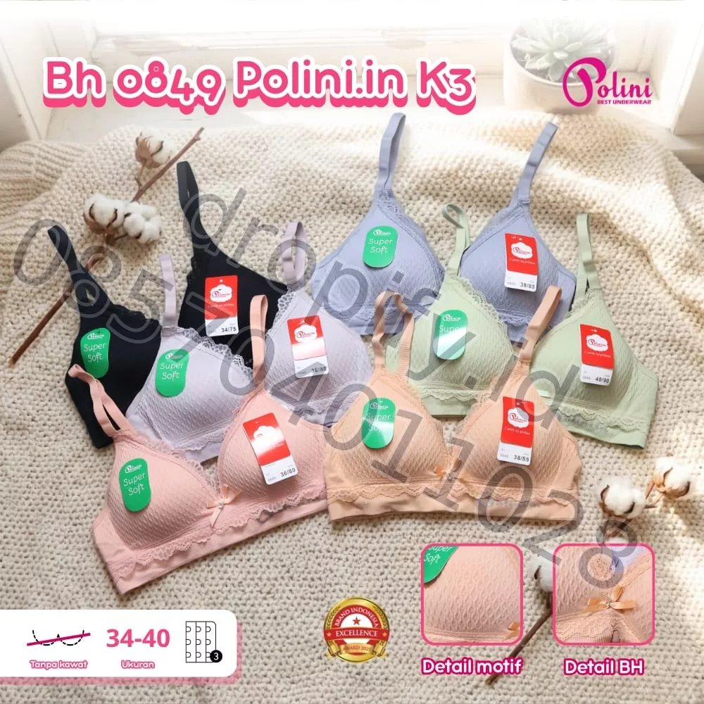 BH 0849 Polini.in K3