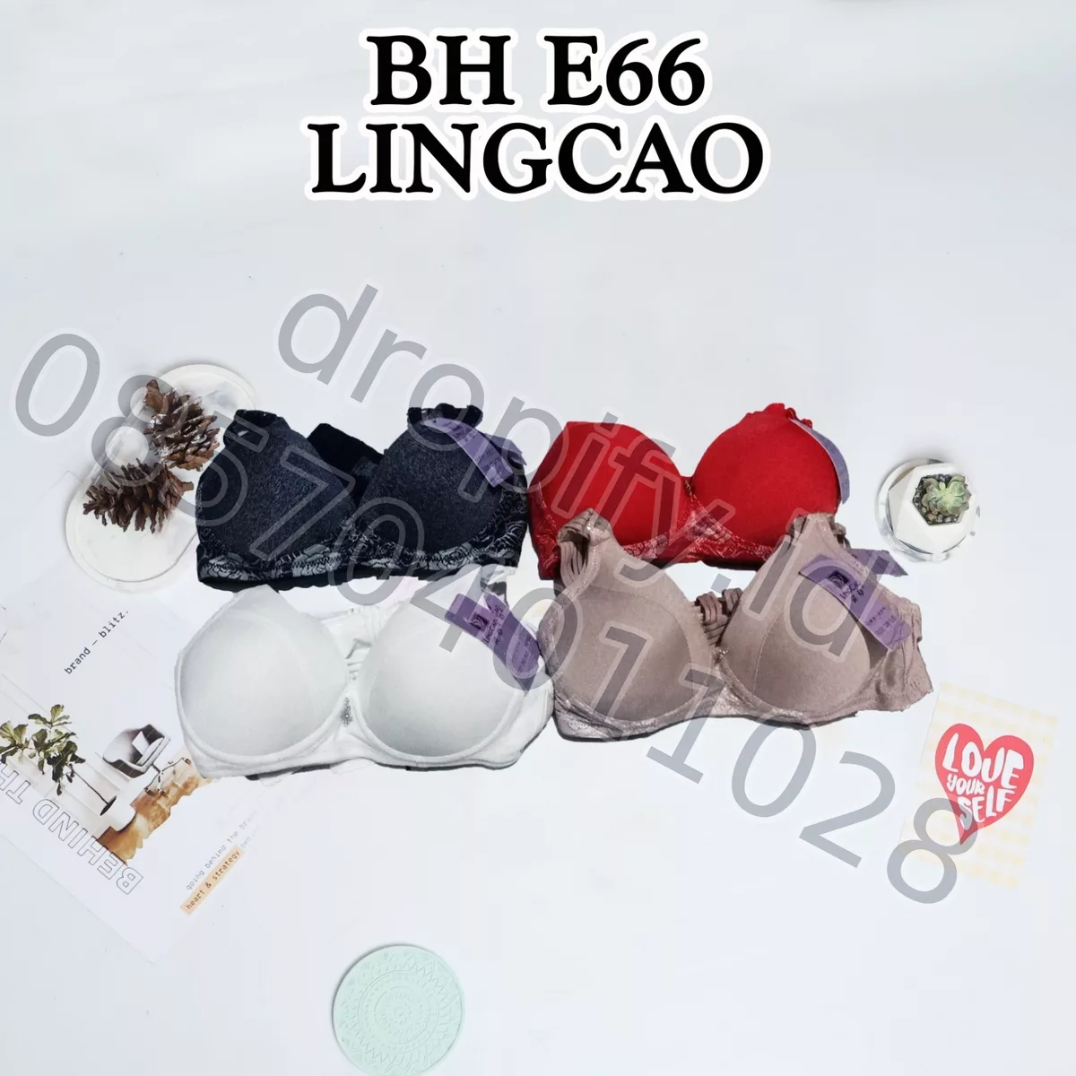 BH E66 LINGCAO