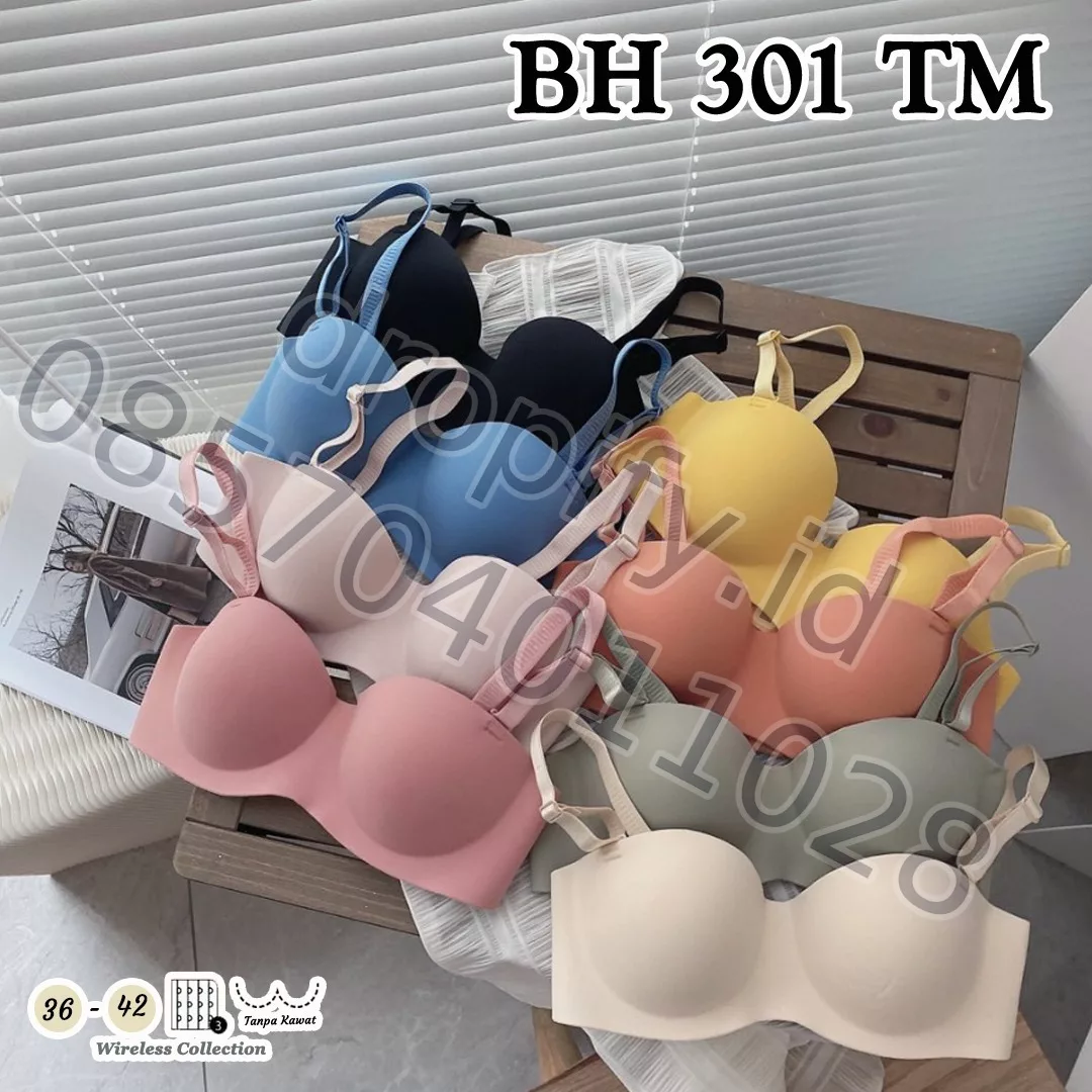 BH 301 TM
