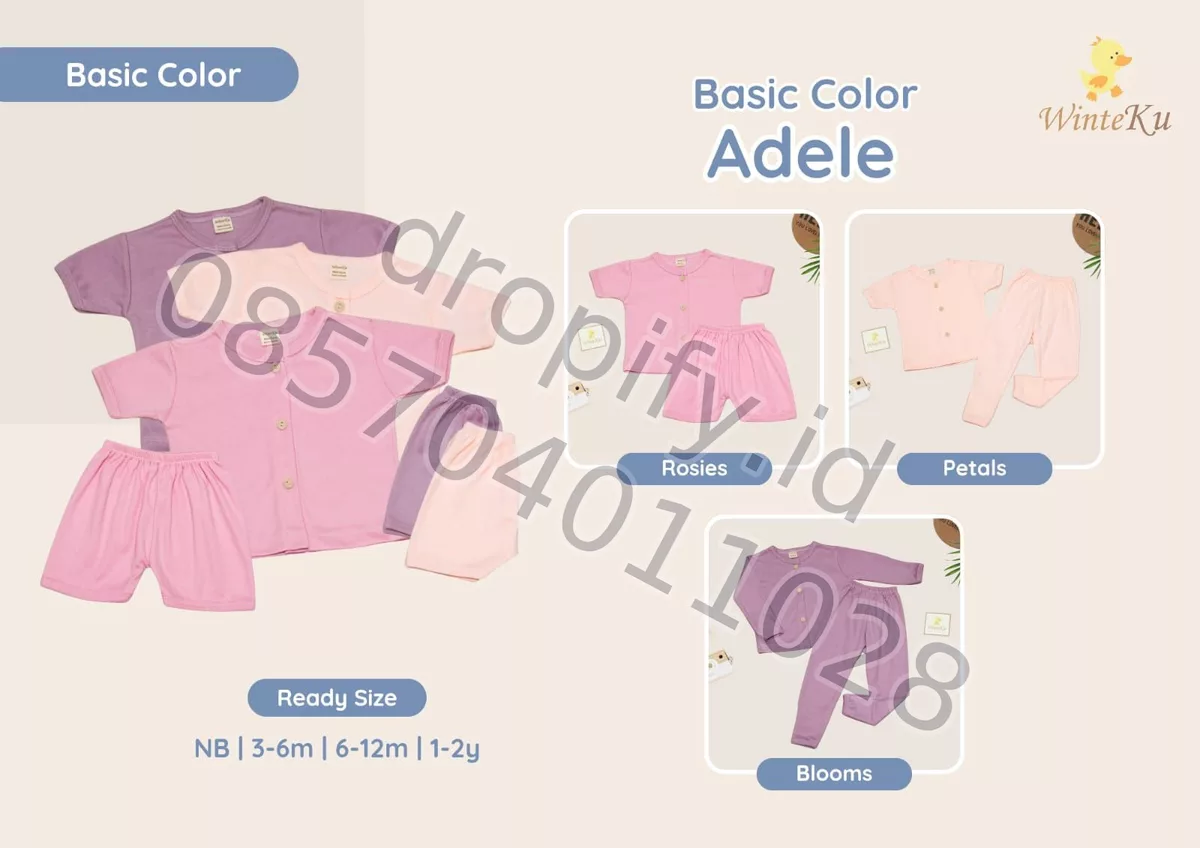 Basic Color Adele