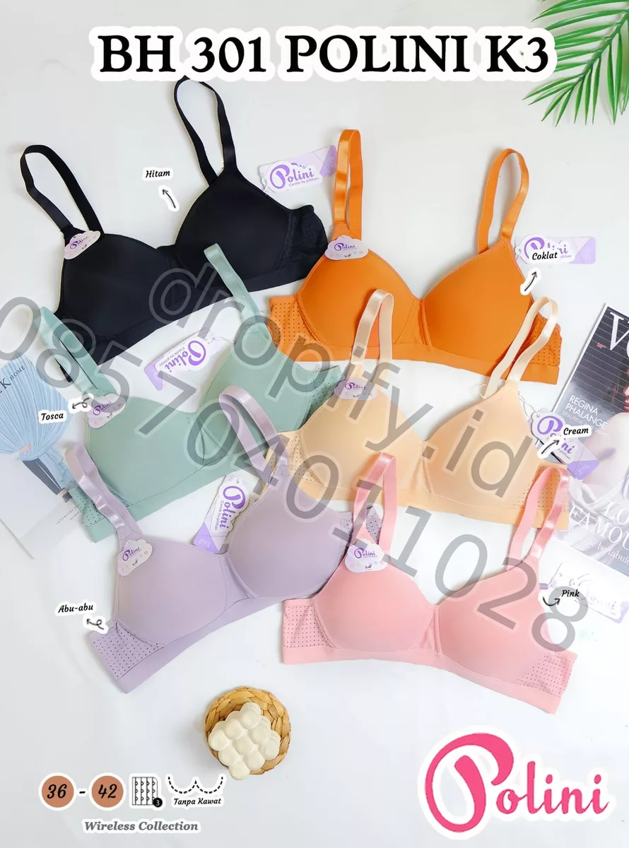 BH 301 POLINI K3