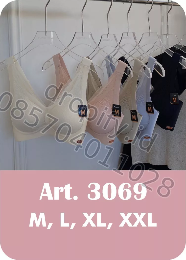 BH 3069