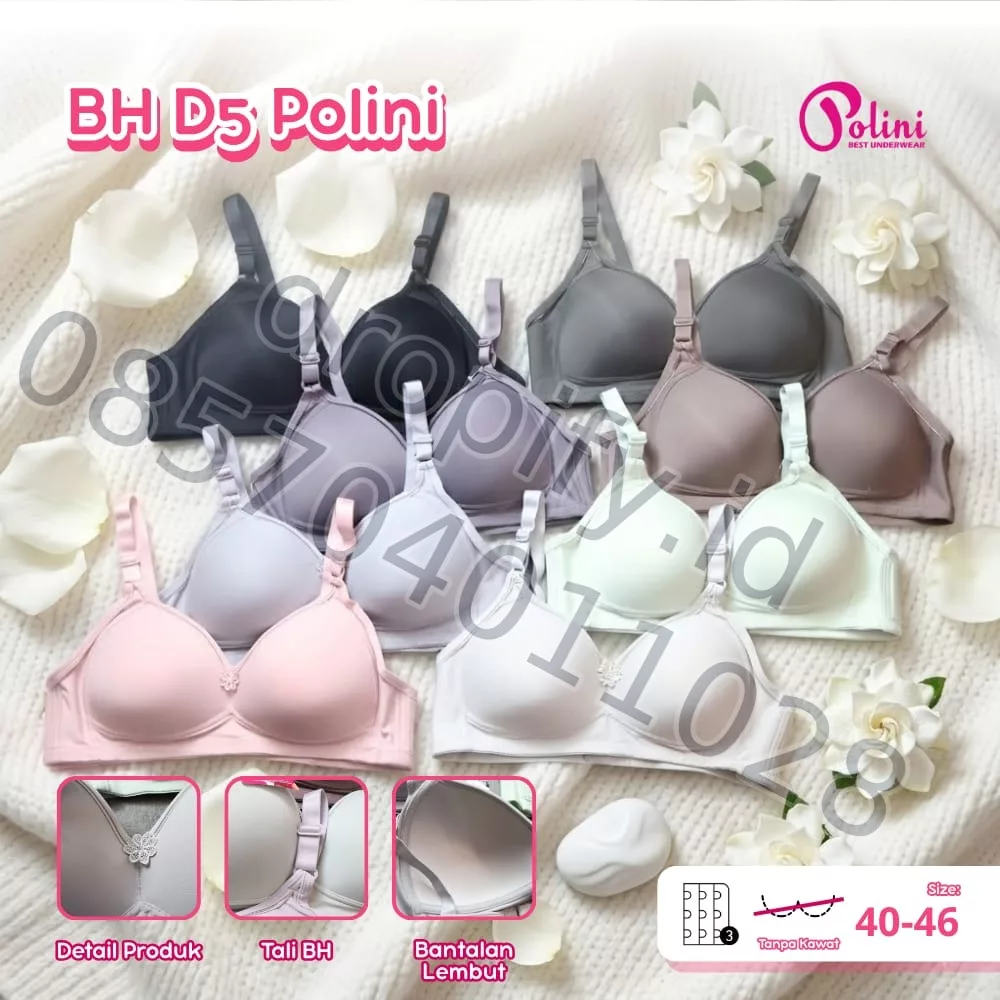 BH D5: POLINI