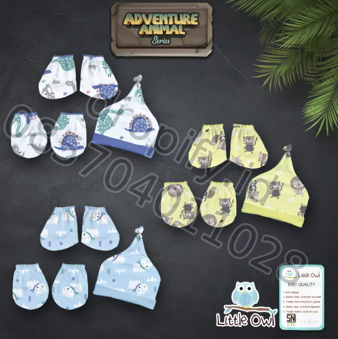 Little Owl Adventure Animal Series