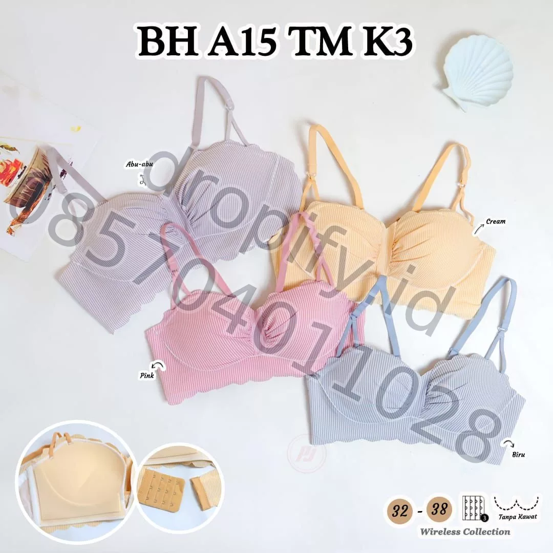 BH A15 TM K3